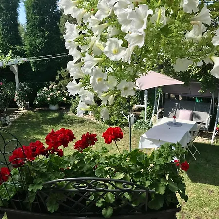 Relaxační Vera S Ubytováním Pensión Valtice