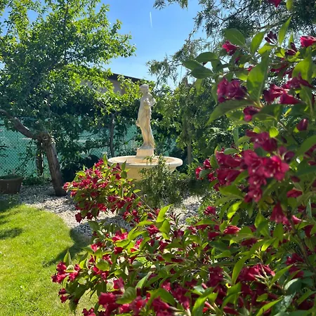 Guest house Relaxacni Vera S Ubytovanim