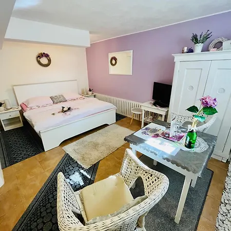 Πανσιόν Relaxacni Vera S Ubytovanim 4*