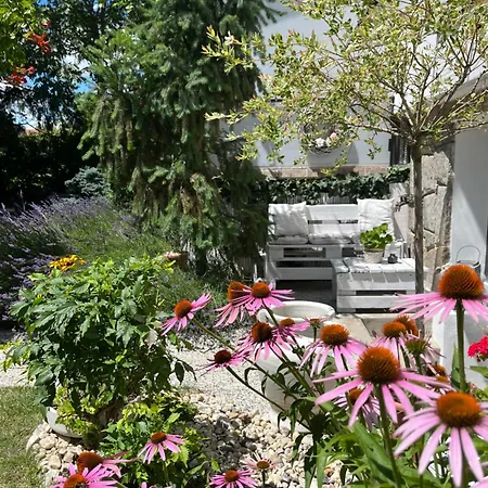 Pensión Relaxační Vera S Ubytováním 4*