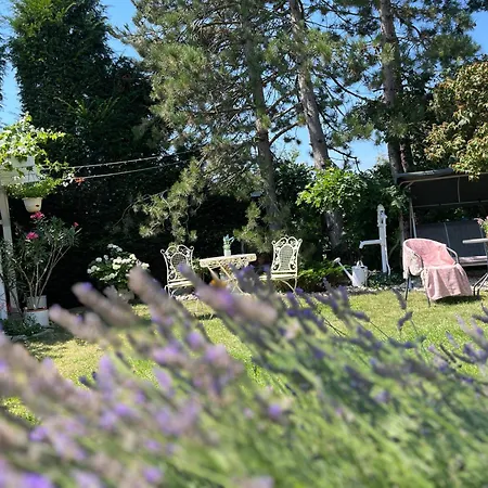Relaxační Vera S Ubytováním Pensión 4*