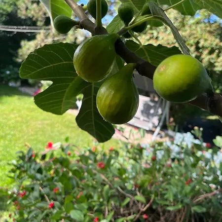 Relaxacni Vera S Ubytovanim Valtice