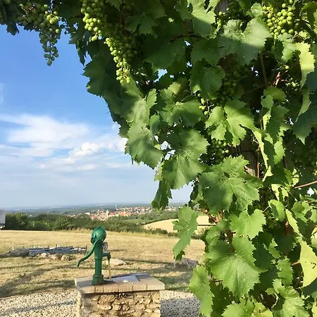 Relaxacni Vera S Ubytovanim