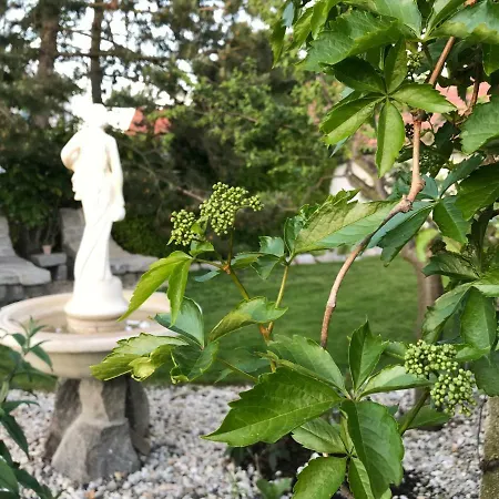 Relaxacni Vera S Ubytovanim Guest house Valtice