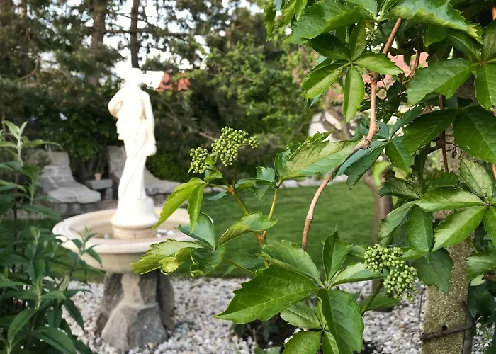 Relaxacni Vera S Ubytovanim Pensjonat Valtice